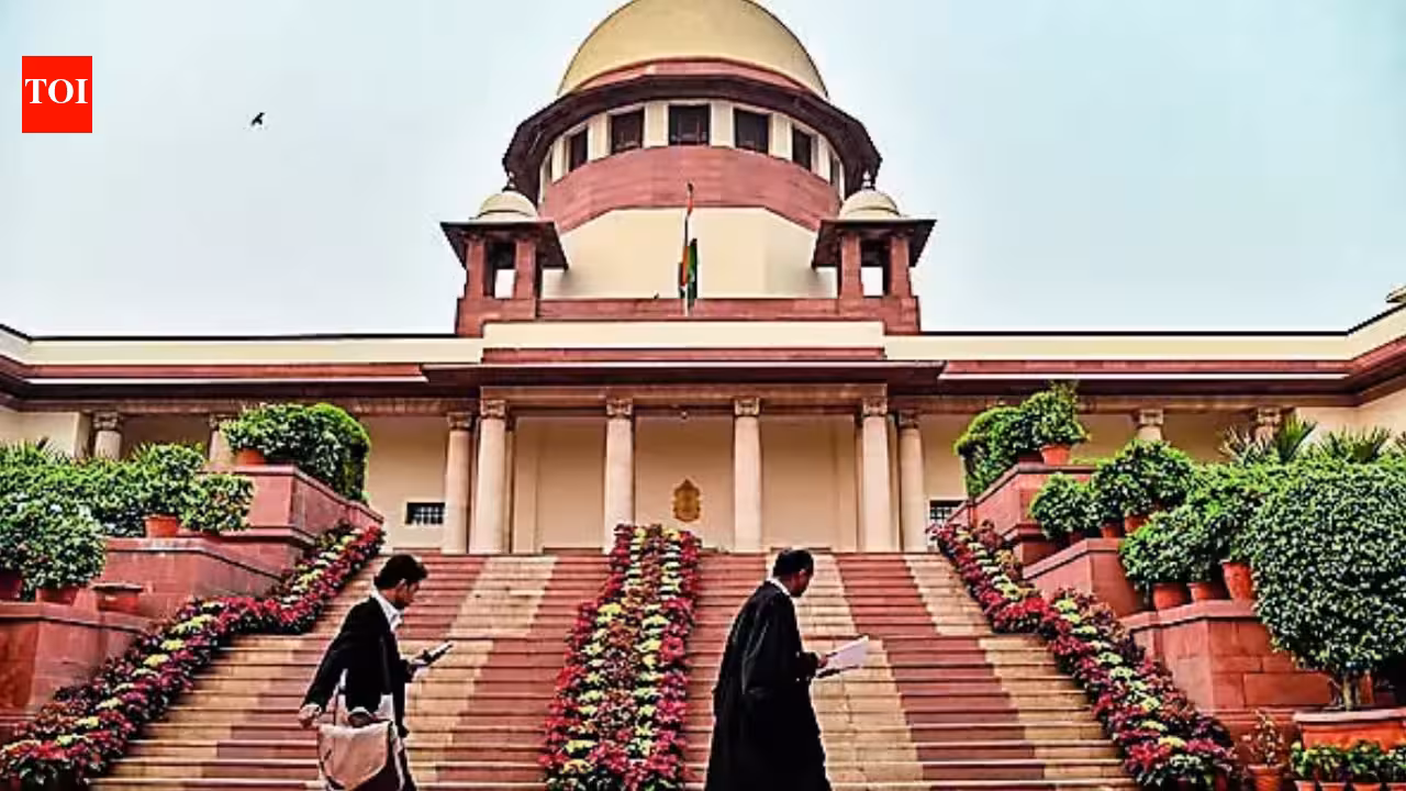 SC faults UP Gangsters Act, says it is prone to misuse | India News SC faults UP Gangsters Act, says it is prone to misuse | India News