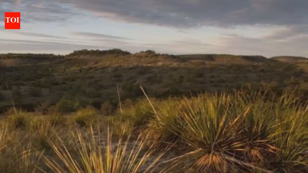 In 1969, a Church’s Fried Chicken co-founder bought 3,000 acres of neglected Texas ranchland; decades of restoration brought long-absent springs and flowing water back In 1969, a Church’s Fried Chicken co-founder bought 3,000 acres of neglected Texas ranchland; decades of restoration brought long-absent springs and flowing water back