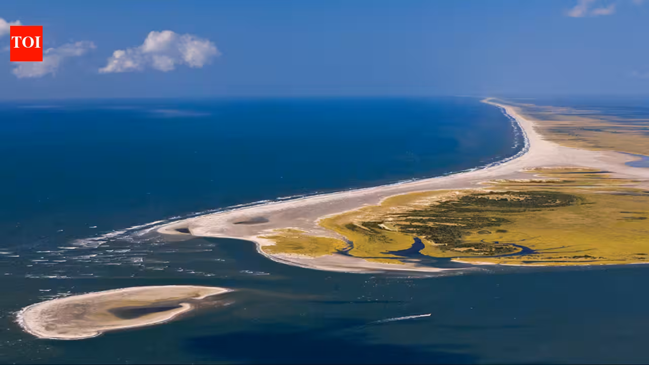 In 1967, Henry Pigott sold his North Carolina island home to help create Cape Lookout National Seashore; a life estate let him stay until his death as Portsmouth Village’s last male resident In 1967, Henry Pigott sold his North Carolina island home to help create Cape Lookout National Seashore; a life estate let him stay until his death as Portsmouth Village’s last male resident