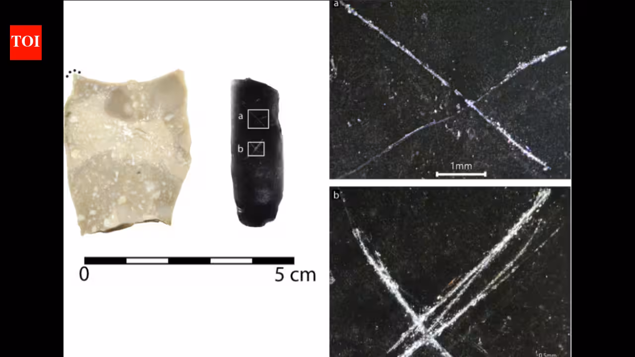 archaeologists found 9,000-year-old arrowheads covered in strange markings; their purpose remains a mystery | World News