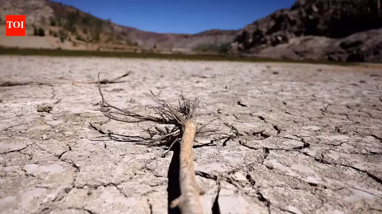 COP17: New global architecture for drought resilience launched at UNCCD meet | India News COP17: New global architecture for drought resilience launched at UNCCD meet | India News