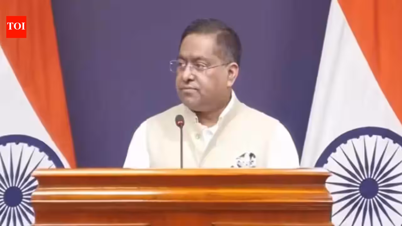 UN panel report on minorities is politically motivated: Govt | India News UN panel report on minorities is politically motivated: Govt | India News