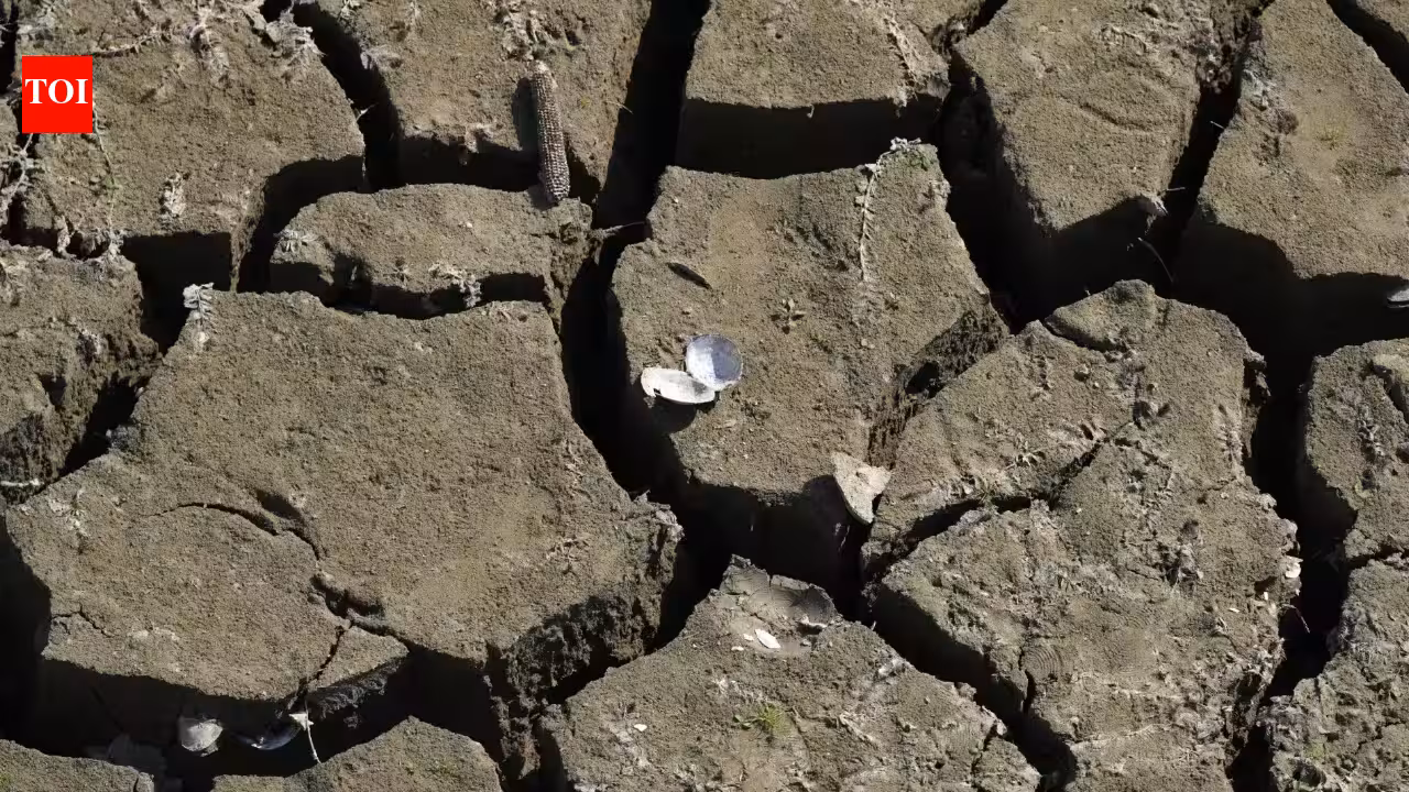 England’s water network buckles under sudden summer drought England’s water network buckles under sudden summer drought