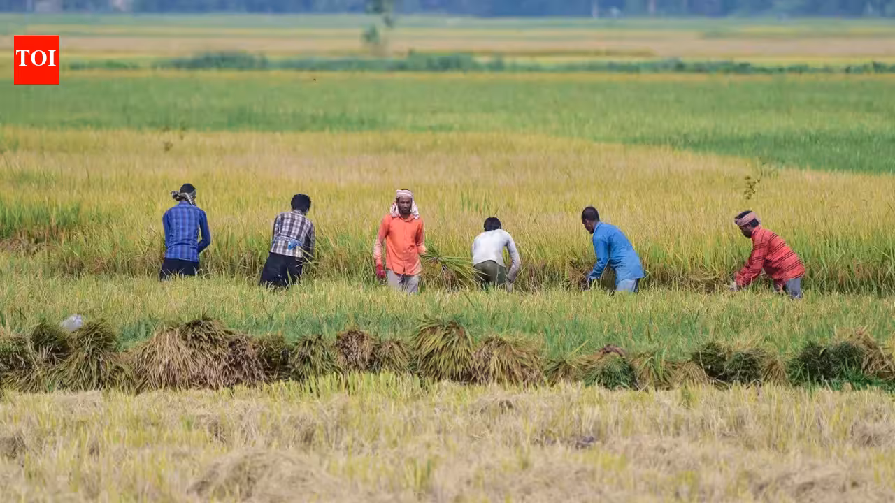 August rainfall fails to reduce India’s monsoon deficit | India News August rainfall fails to reduce India’s monsoon deficit | India News