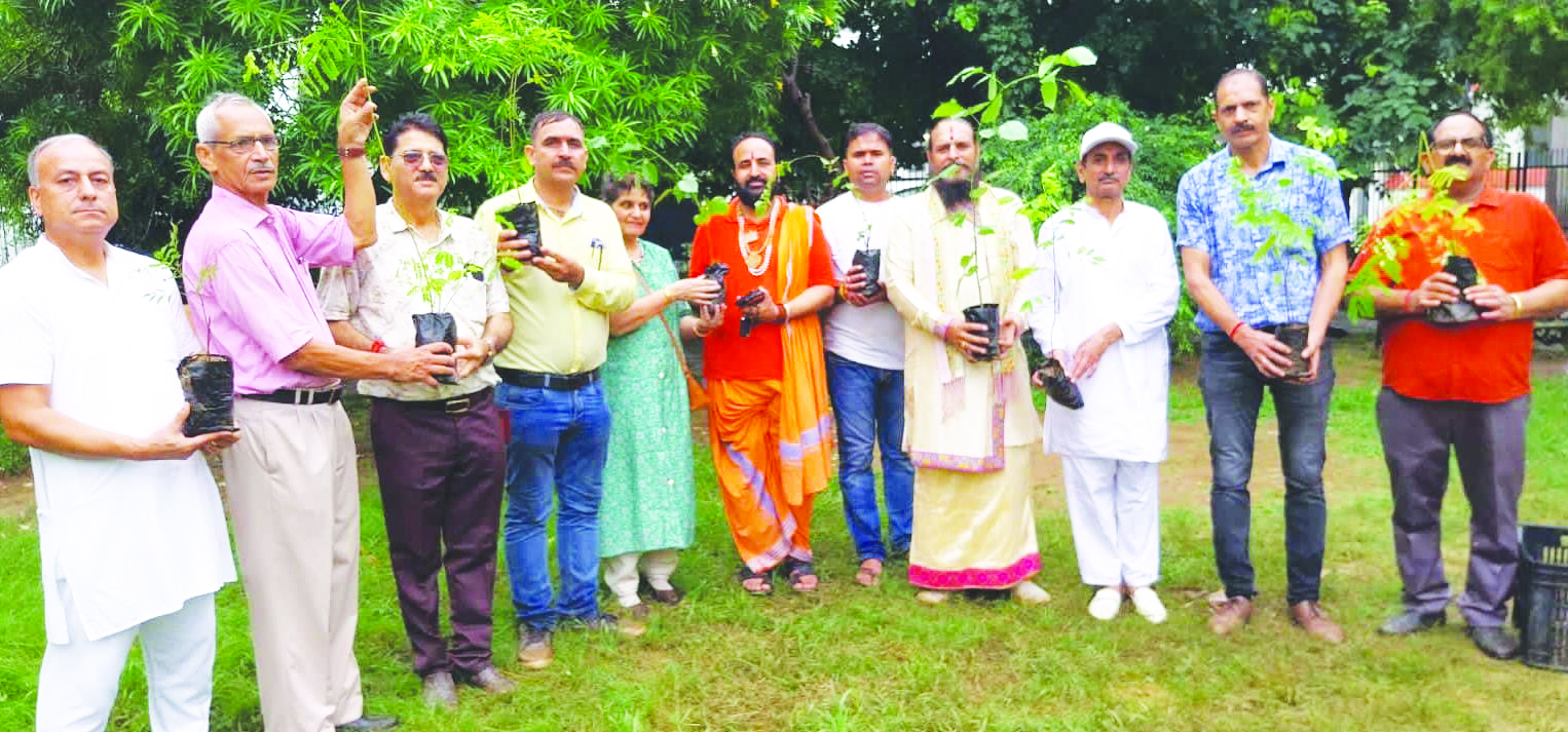 Dogra Brahman Sabha continues plantation drive in Channi Himmat