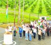 Independence Day celebrated at Government Fruit Plant Nursery, Chakroi