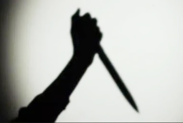 Woman kills husband in Haryana, puts intestine in bag; missing liver, kidney raise questions Woman kills husband in Haryana, puts intestine in bag; missing liver, kidney raise questions