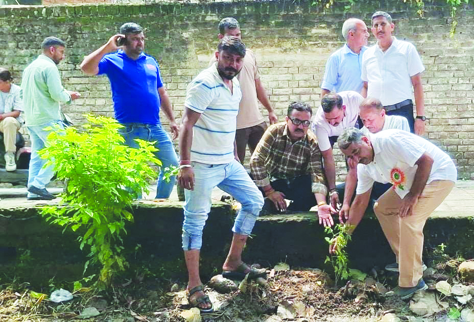 NSF organises programme to mark Shaheed Rajguru’s birth anniversary, plants saplings