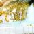 Amarnath Yatra Concludes On Raksha Bandhan With Chhari-Mubarak Prayers