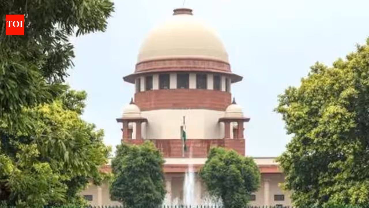 SC awards pension to Mumbai engineer who forged ST certificate | India News SC awards pension to Mumbai engineer who forged ST certificate | India News