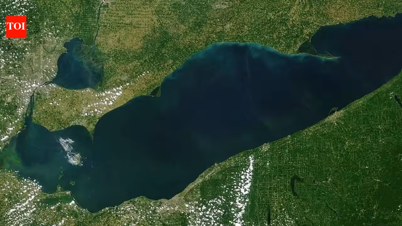 After a 25-acre Lake Erie wetland was reconnected, sonar recorded 3.44 million fish detections over 2,022 monitoring hours across four years, showing the restored habitat was used continuously