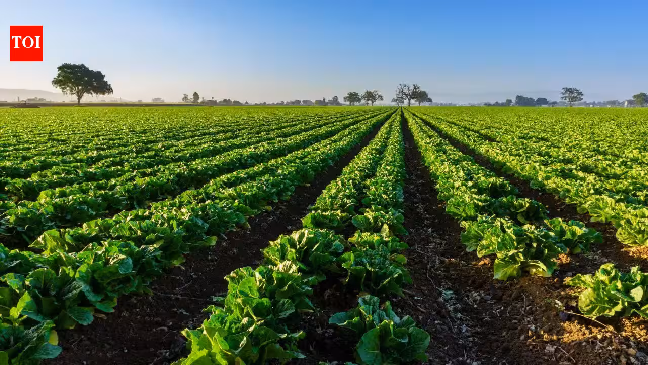 A North Florida family permanently protected 816.46 acres with a .665 million easement; farming can continue while the land stays undeveloped inside a 1.6-million-acre wildlife corridor