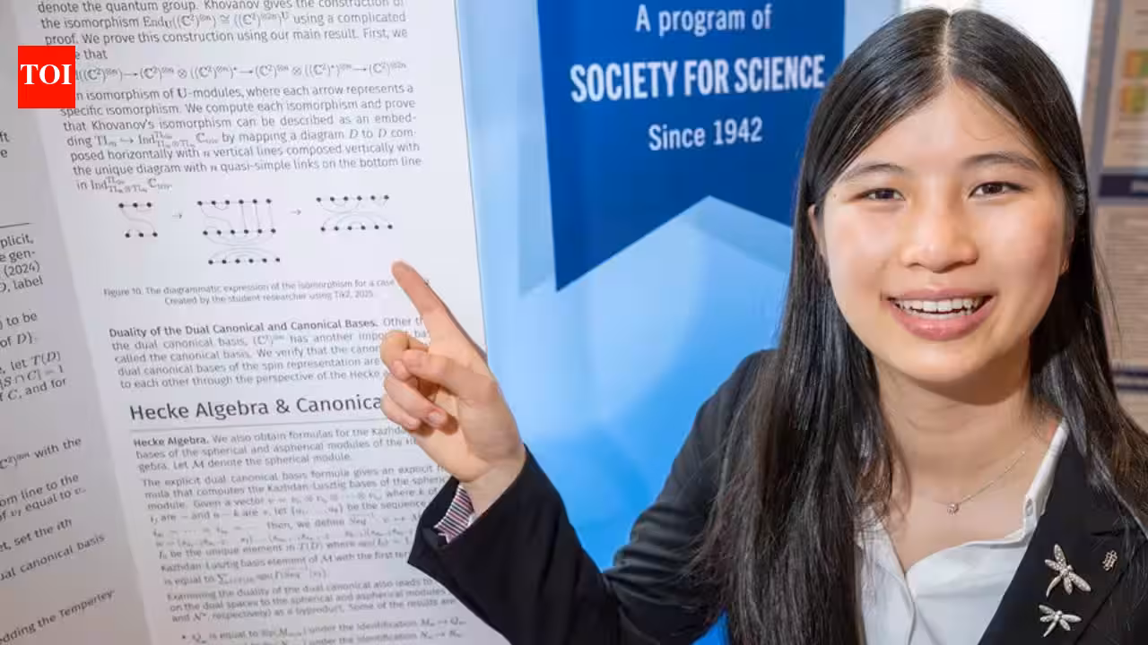 Meet Rachel Chen, the 18-year-old Los Angeles student who expanded a 1997 quantum-math idea to describe entire particle systems with simple diagrams; she won 0,000