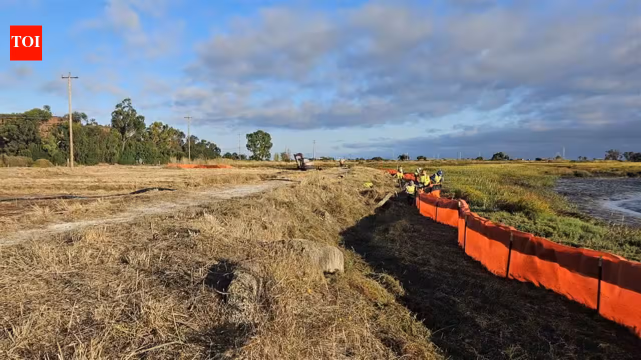 Palo Alto built San Francisco Bay’s first horizontal levee to reuse treated wastewater; the 500-foot living slope restores marsh habitat and tests defenses against sea-level rise