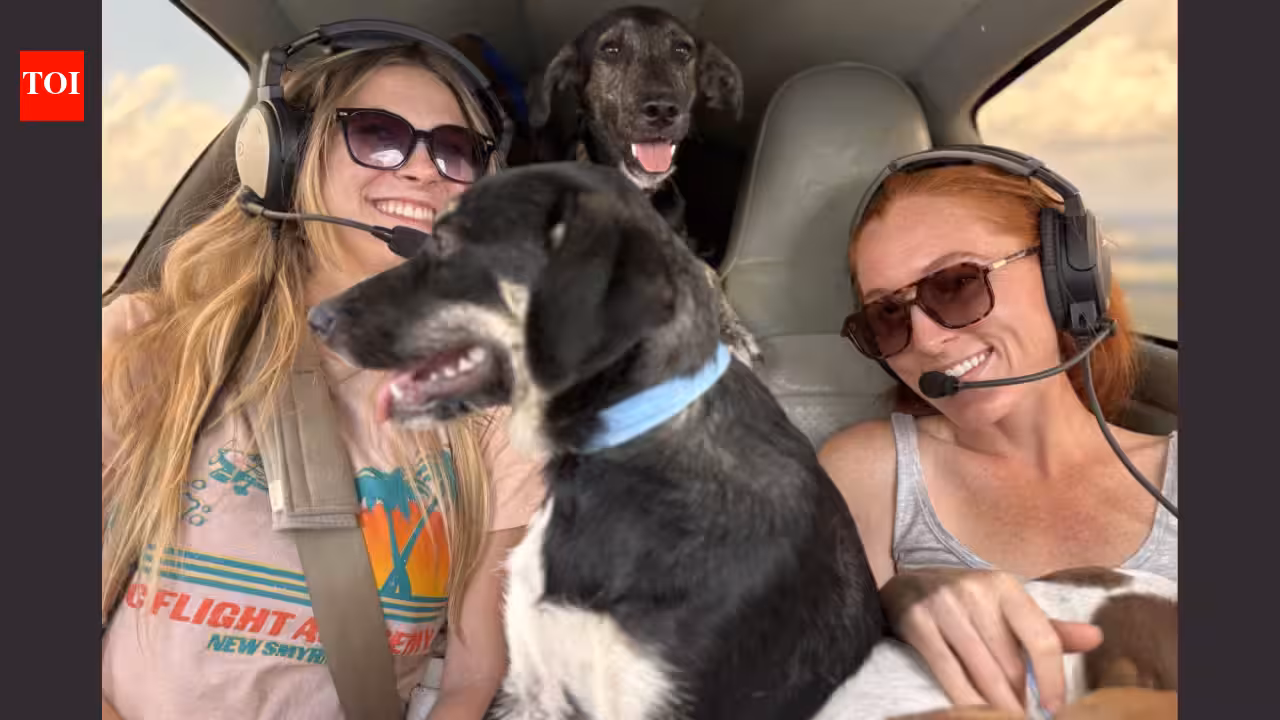 Florida volunteer pilots started flying animals out of overcrowded shelters in 2010; more than 12,000 rescued dogs and cats have now made the journey