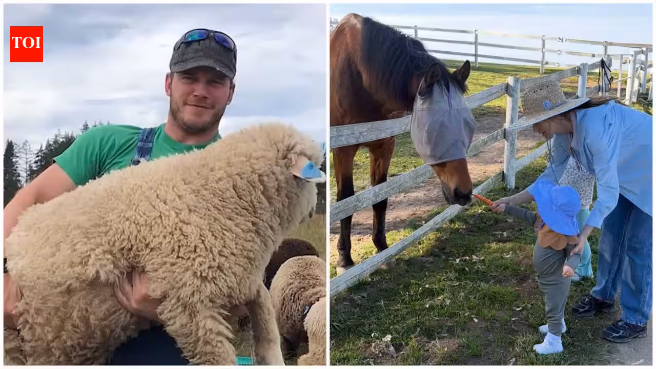 Inside Chris Pratt’s 100-acre Washington ranch with sheep, pigs and award-winning wool, where farm life helps him slow down away from Hollywood