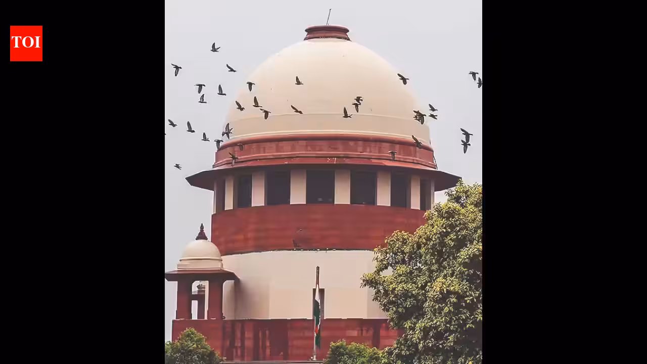 Balakrishnan panel unlikely to propose inclusion of converts in SC list | India News