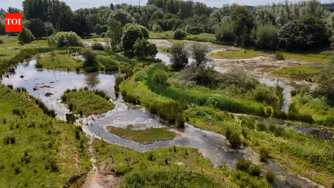 In 2017, a 64-acre golf course built for workers at England’s Rugeley Power Station closed; nine years later, work is turning it into wetlands, meadows and ponds with a 1.5km public trail