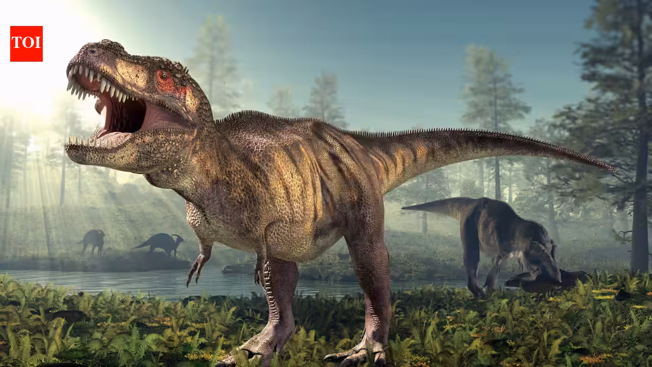 T. rex had a body temperature of 36.3°C, almost the same as humans; fossil tooth chemistry reveals the 66-million-year-old predator was warm-blooded and could survive in cold climates