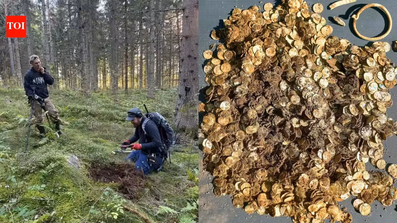 A man using a metal detector near a Finnish village finds more than 4,000 Viking Age silver coins in two birch-bark containers buried 39 feet apart | World News