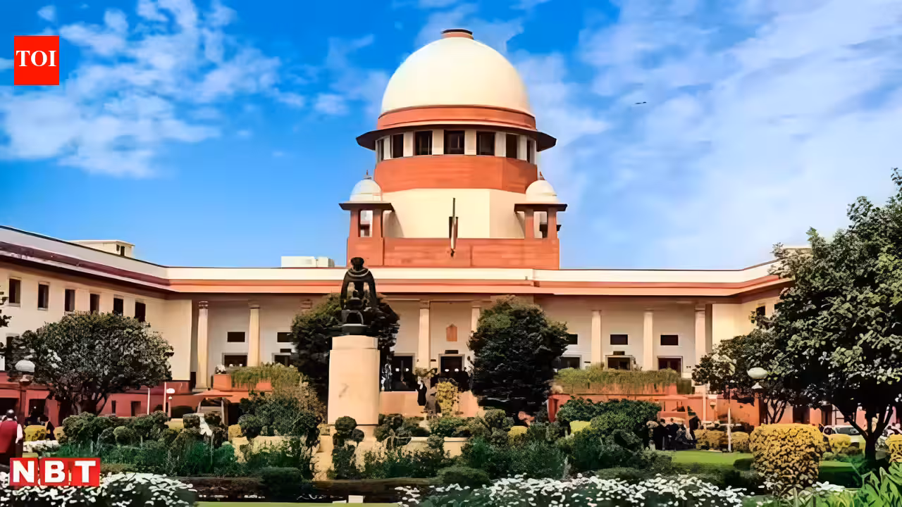 SC denies relief to Jharkhand IAS officer in laundering case | India News SC denies relief to Jharkhand IAS officer in laundering case | India News