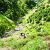 Two Killed As Oil Tanker Meets With Accident In J&K’s Kishtwar