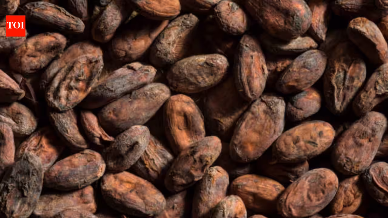 Ancient pottery reveals earliest known traces of chocolate in east of Mississippi; formed a major part of feasts 1,000 years ago