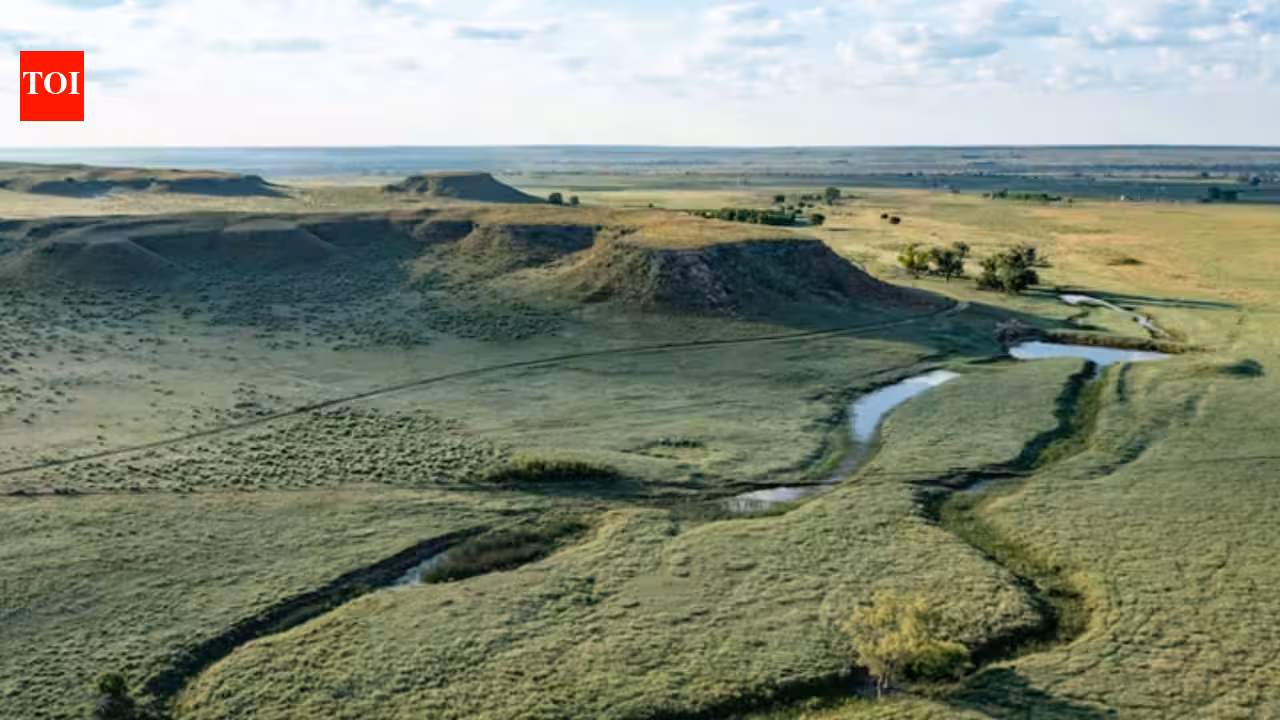 A Texas ranch spanning nearly 77,000 acres is back on the market for 0 million after the 2024 Smokehouse Creek Fire scorched more than half its land; the property has since undergone a major recovery