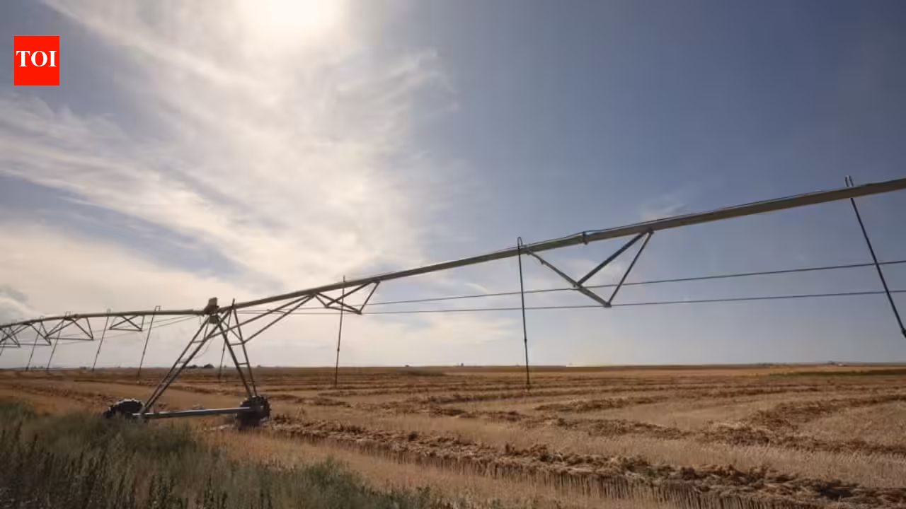 Idaho family has farmed 1,000 acres since 1950; after the state largely shut off its irrigation water in 2025, the owners say crops failed and are now suing to protect the family farm