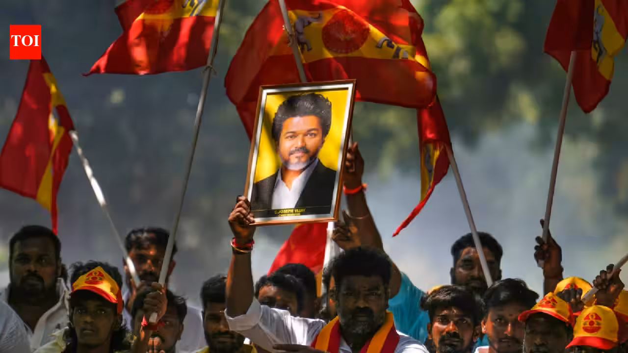 Assembly bypolls: TVK wins 2 seats in TN, BJP also bags 2 in Bengal | India News Assembly bypolls: TVK wins 2 seats in TN, BJP also bags 2 in Bengal | India News