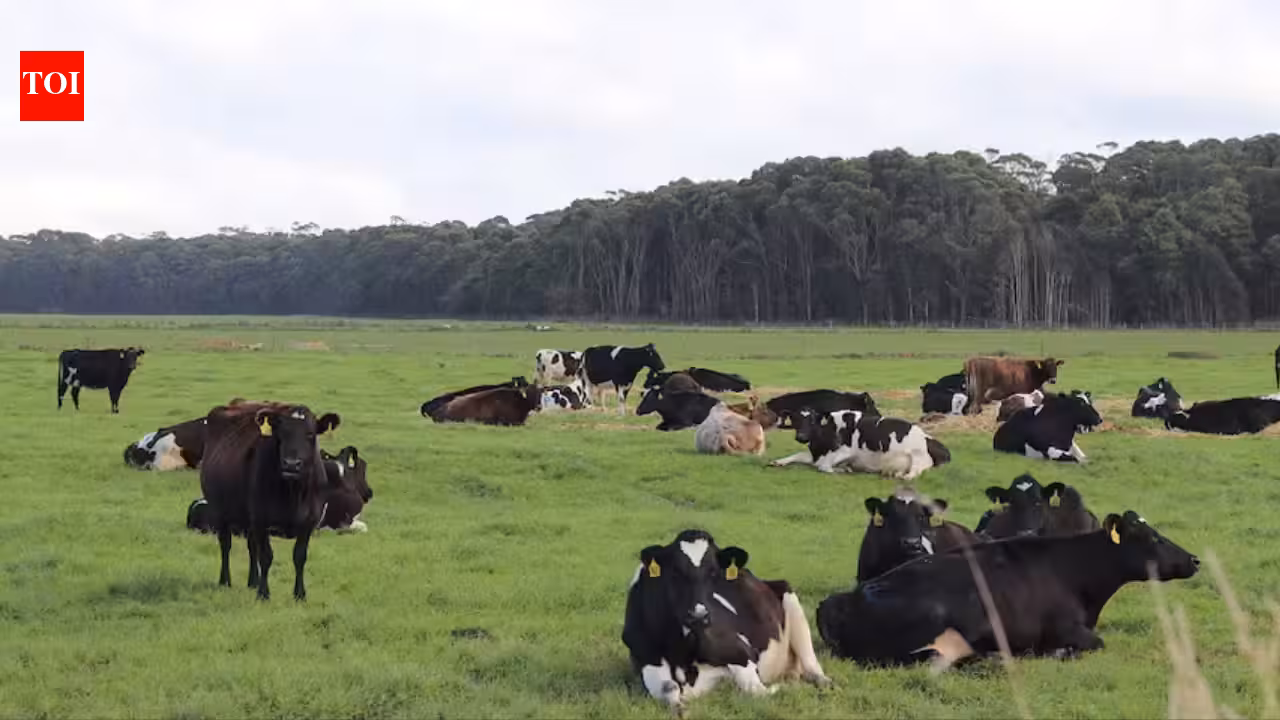 A billionaire who bought Tasmania’s Woolnorth dairy for A0 million in 2016 has won a tax reversal: a full court overturned the case that had left his companies facing A.4 million including penalties and interest
