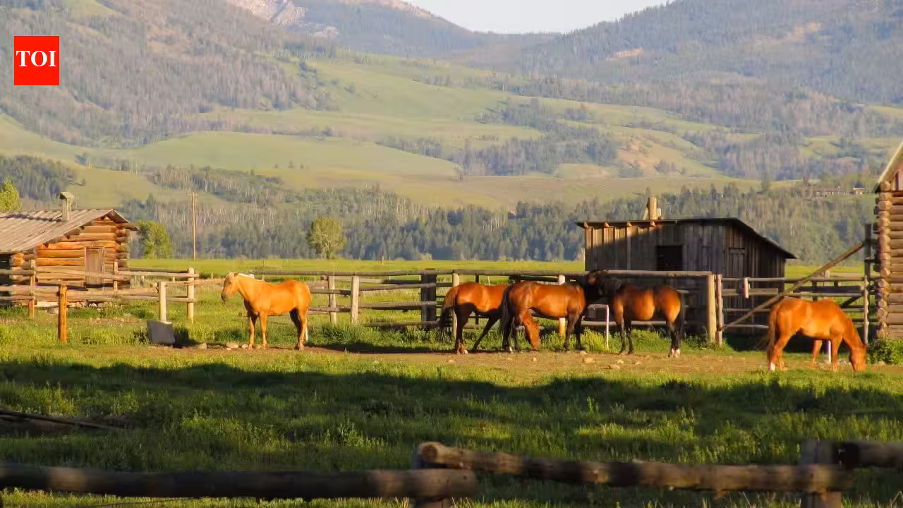 In 2022, California’s 4.2-acre Rancho Cariñoso asked 9 million; after years of price cuts, the beachfront horse ranch sold at auction for .55 million, with nearly an acre of private beach
