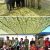 253 persons benefit from free artificial limbs camp in Uri
