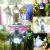 Police arrest 6 drug peddlers in Kashmir, contraband substance recovered