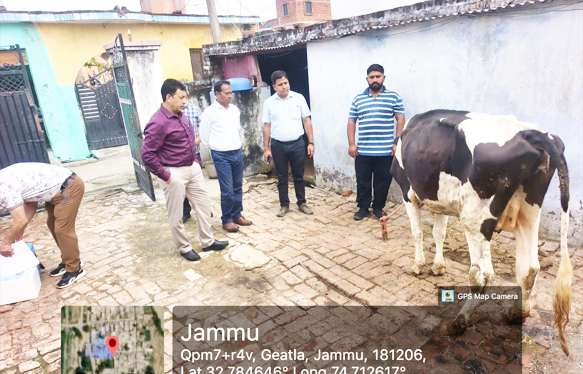 Central Govt Officer reviews lumpy skin disease situation in Jammu, Samba and Kathua