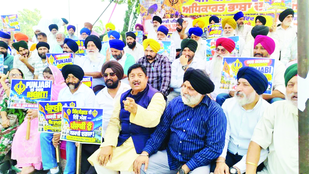 Dimple extends support to Sikh organisations, backs demand for Punjabi as official language in J&K