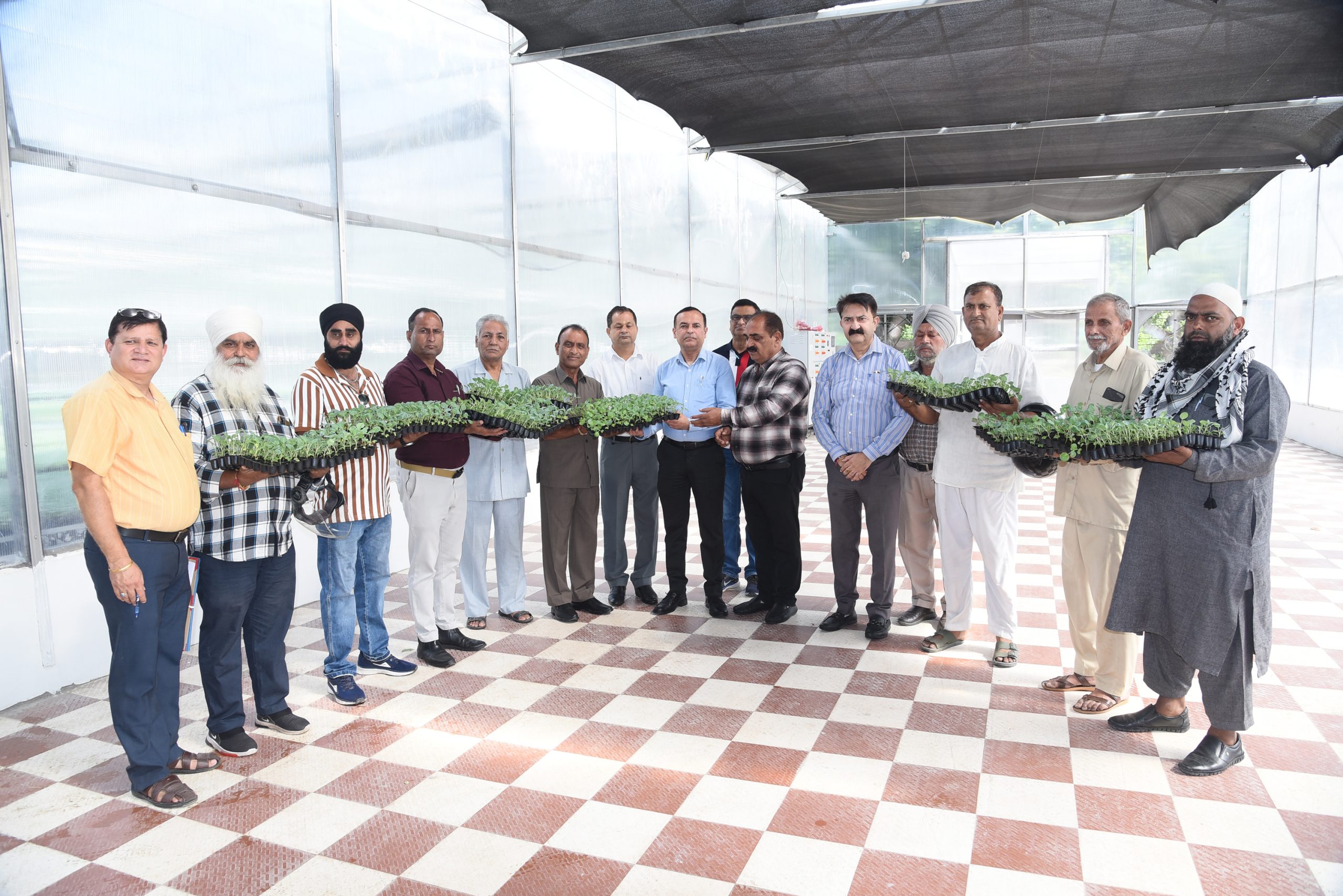 Director Agriculture inaugurates distribution of hybrid vegetable seedlings at Centre of Excellence