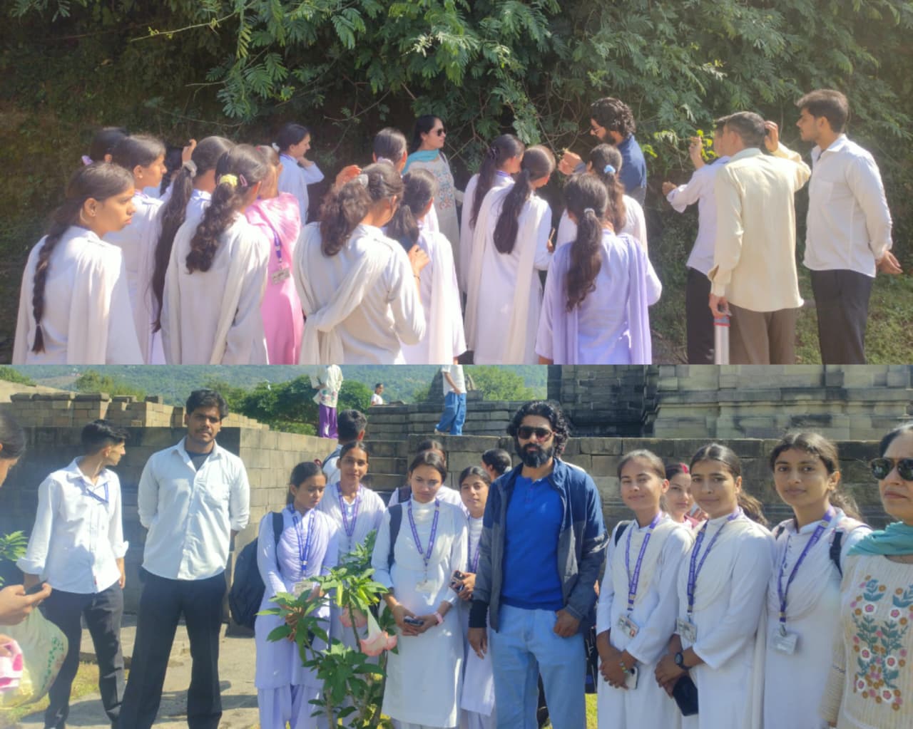GDC Ramnagar organises educational botanical trip to Krimachi-Mansar area