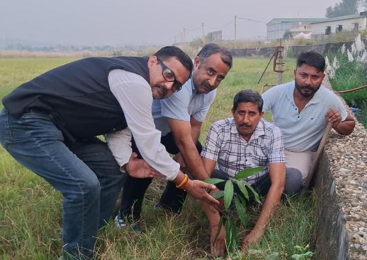 JKNC concludes month-long plantation drive, plants saplings at Khel Gaon