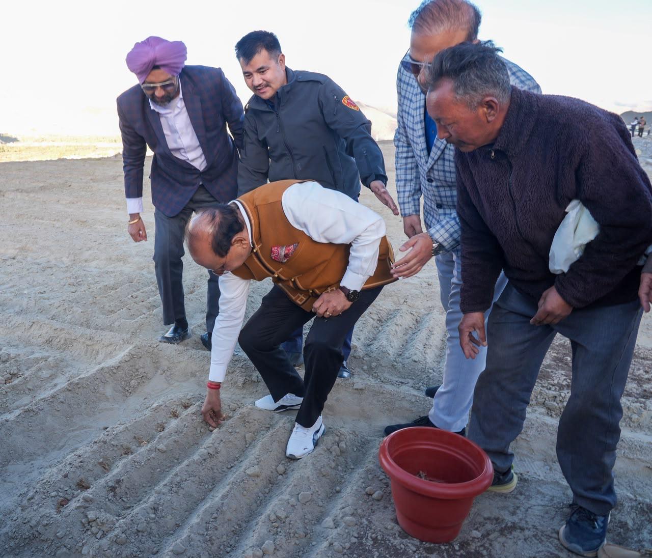 Saffron cultivation begins in Ladakh