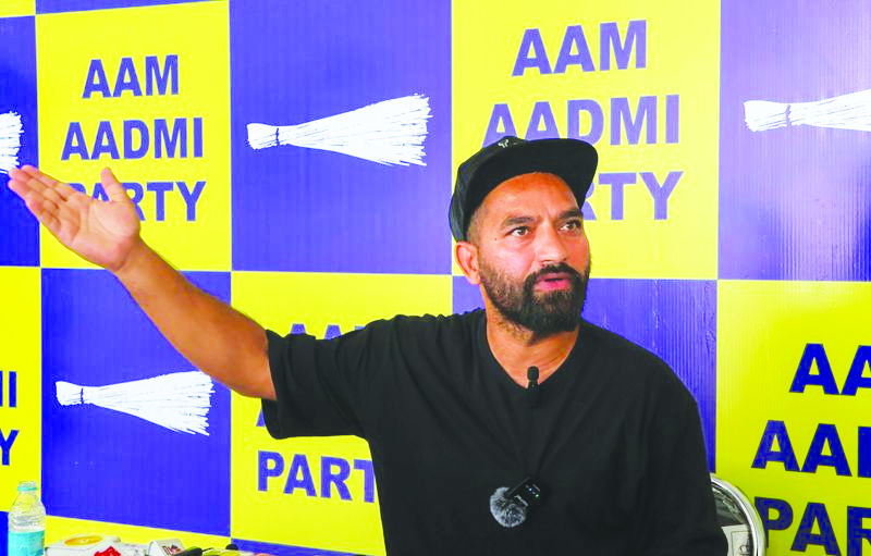 AAP MLA Seeks Panchayat Polls, Questions Article 370 Narrative